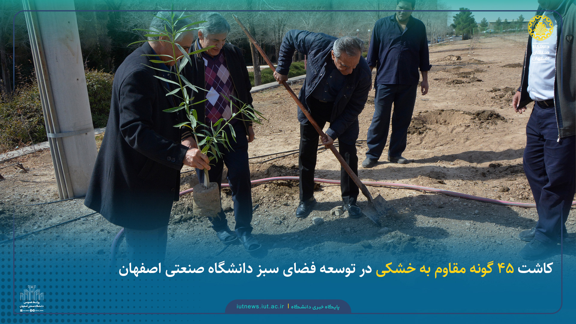 کاشت 45 گونه‌ مقاوم به خشکی در توسعه فضای سبز دانشگاه صنعتی اصفهان